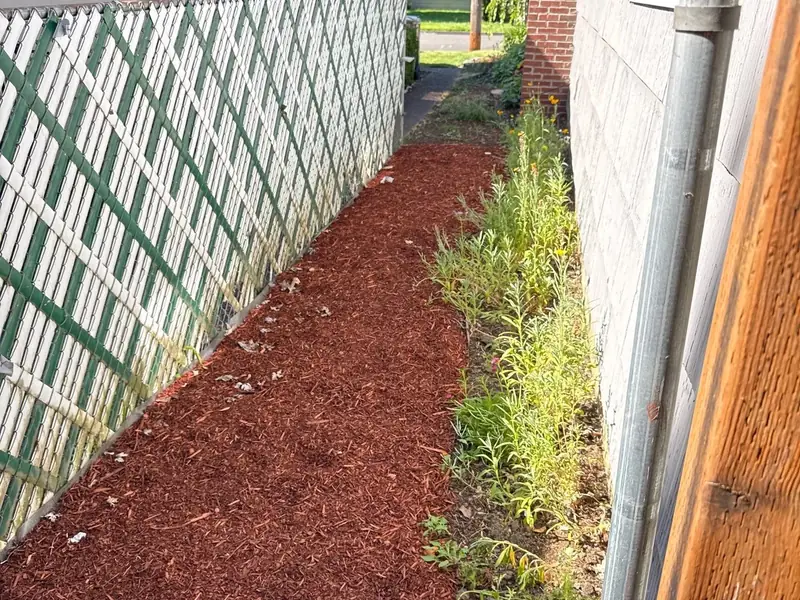 Bark path side yard in Salem, OR | Noosh