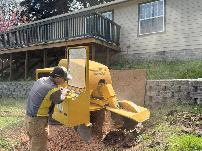 Below grade stump removal in Salem, OR | Noosh