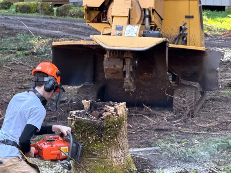 Below grade stump removal in Salem, OR | Noosh