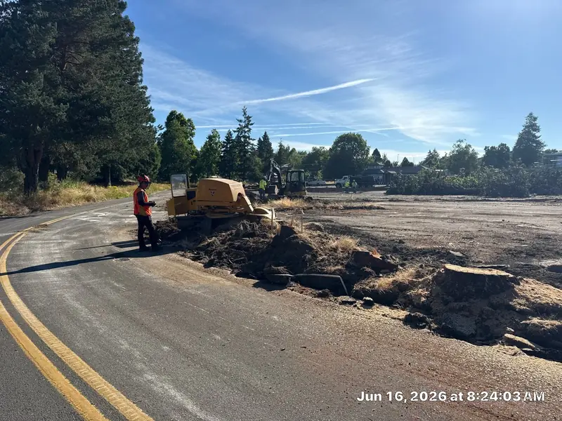 Below grade stump removal in Salem, OR | Noosh