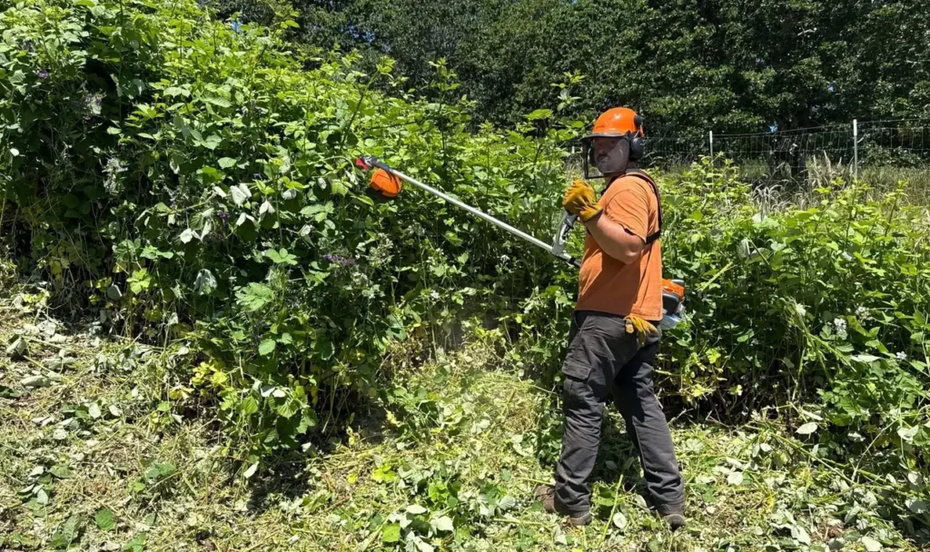Blackberry eradication crew in Salem, OR | Noosh