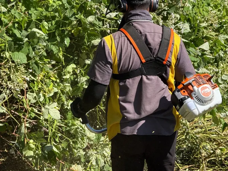 Brush cutting crew in Salem, OR | Noosh