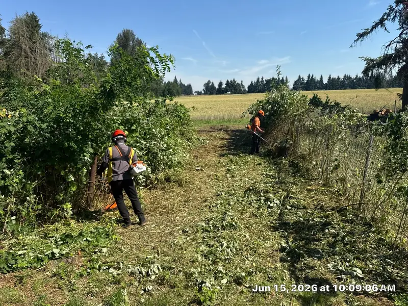 Brush field clearing in Salem, OR | Noosh