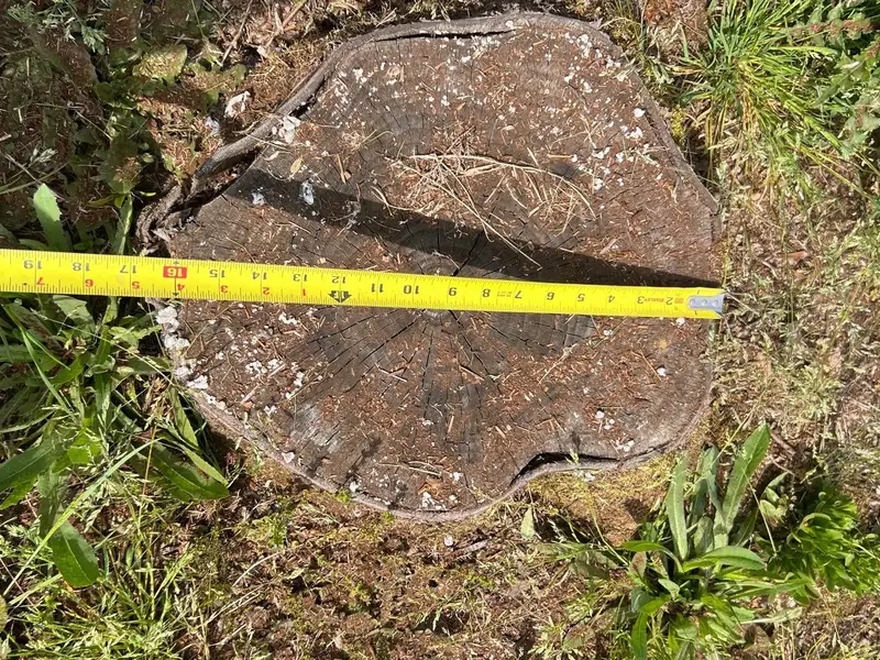 Catch basin install in Salem, OR | Noosh