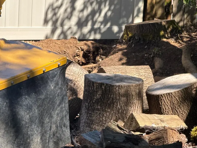 Catch basin install in Salem, OR | Noosh