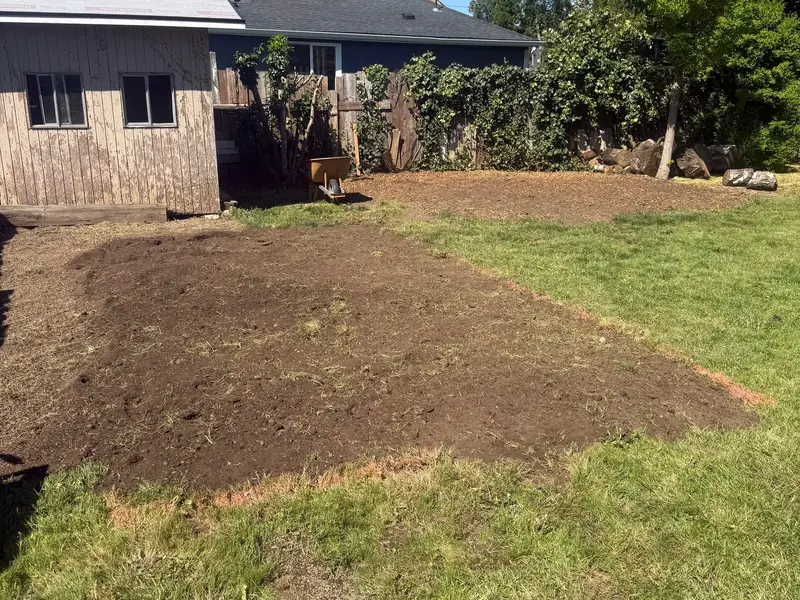Established sod lawn in Salem, OR | Noosh