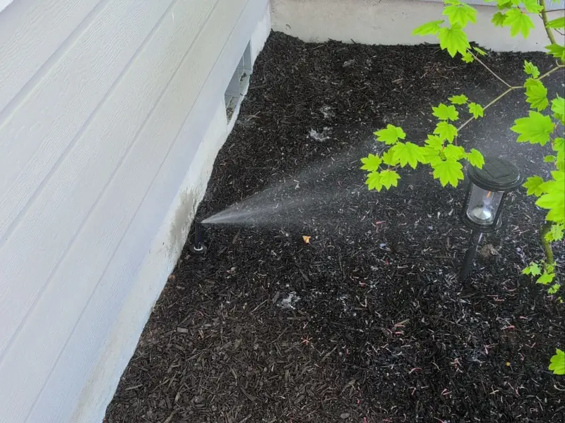 Full yard renovation in Salem, OR | Noosh