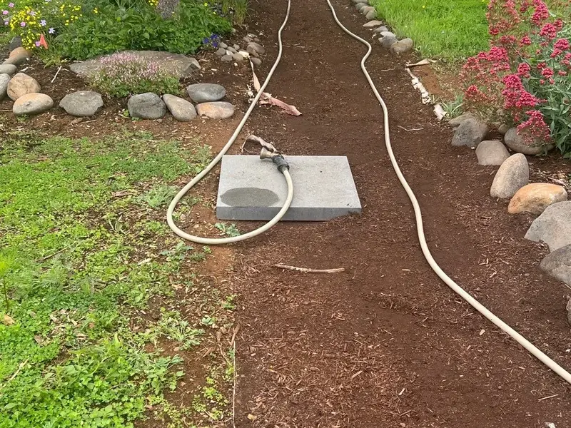 Full yard renovation in Salem, OR | Noosh