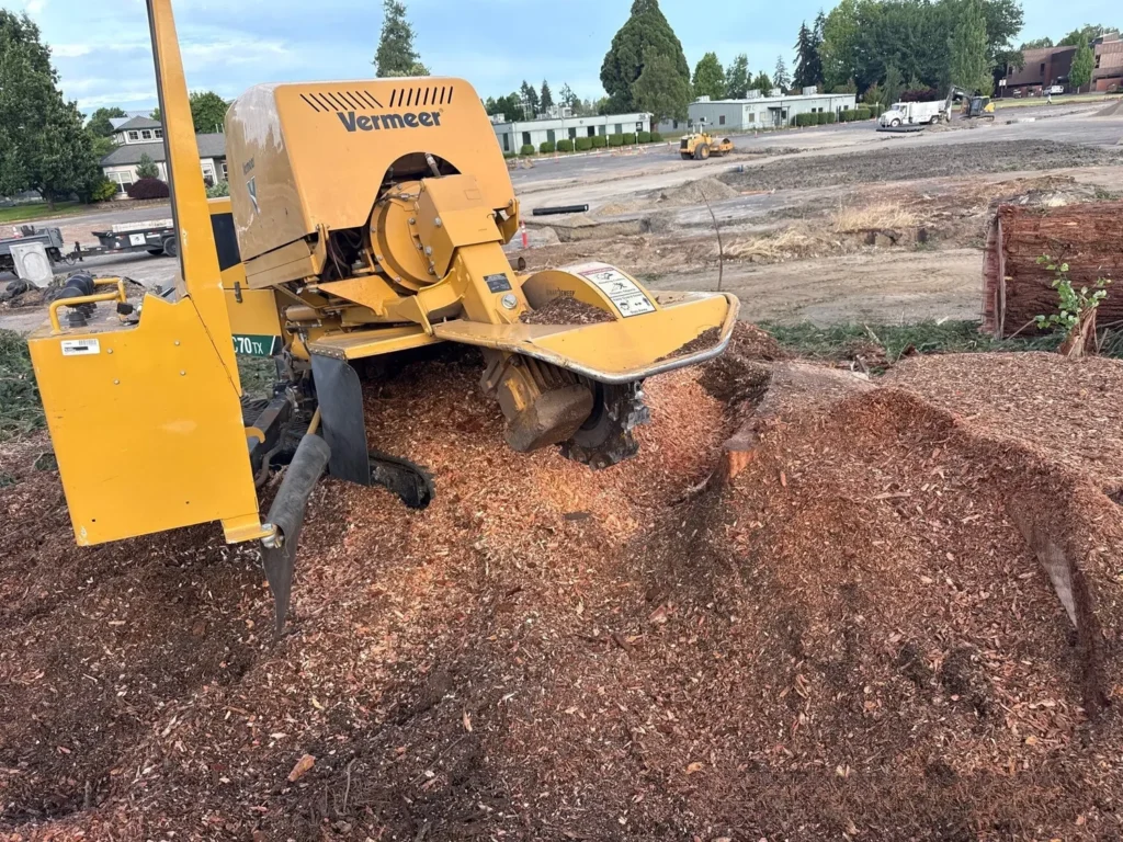 deep stump grinding salem or